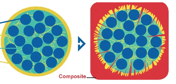 Schéma de la liaison IPN : fibre de verre, PMMA, Bis-GMA, composite